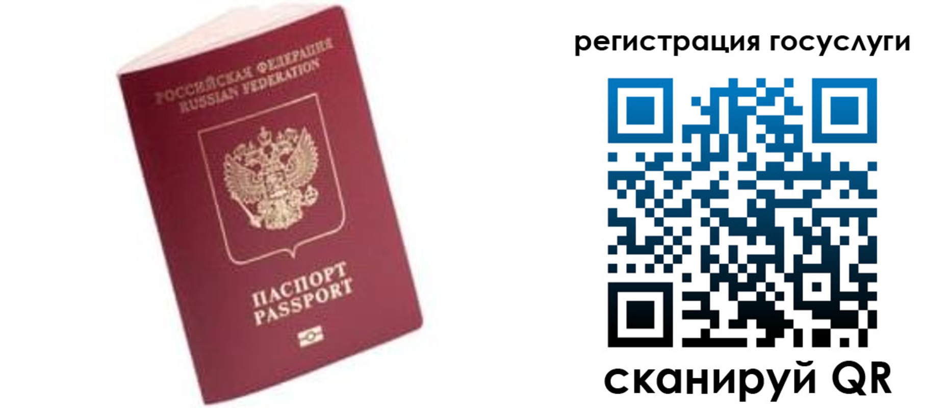 прописка поиск в Лосино-Петровском